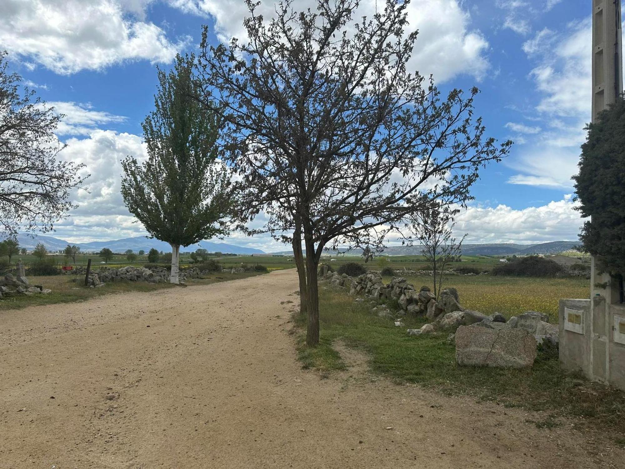 Casa Rural El Cordel La Serrada エクステリア 写真