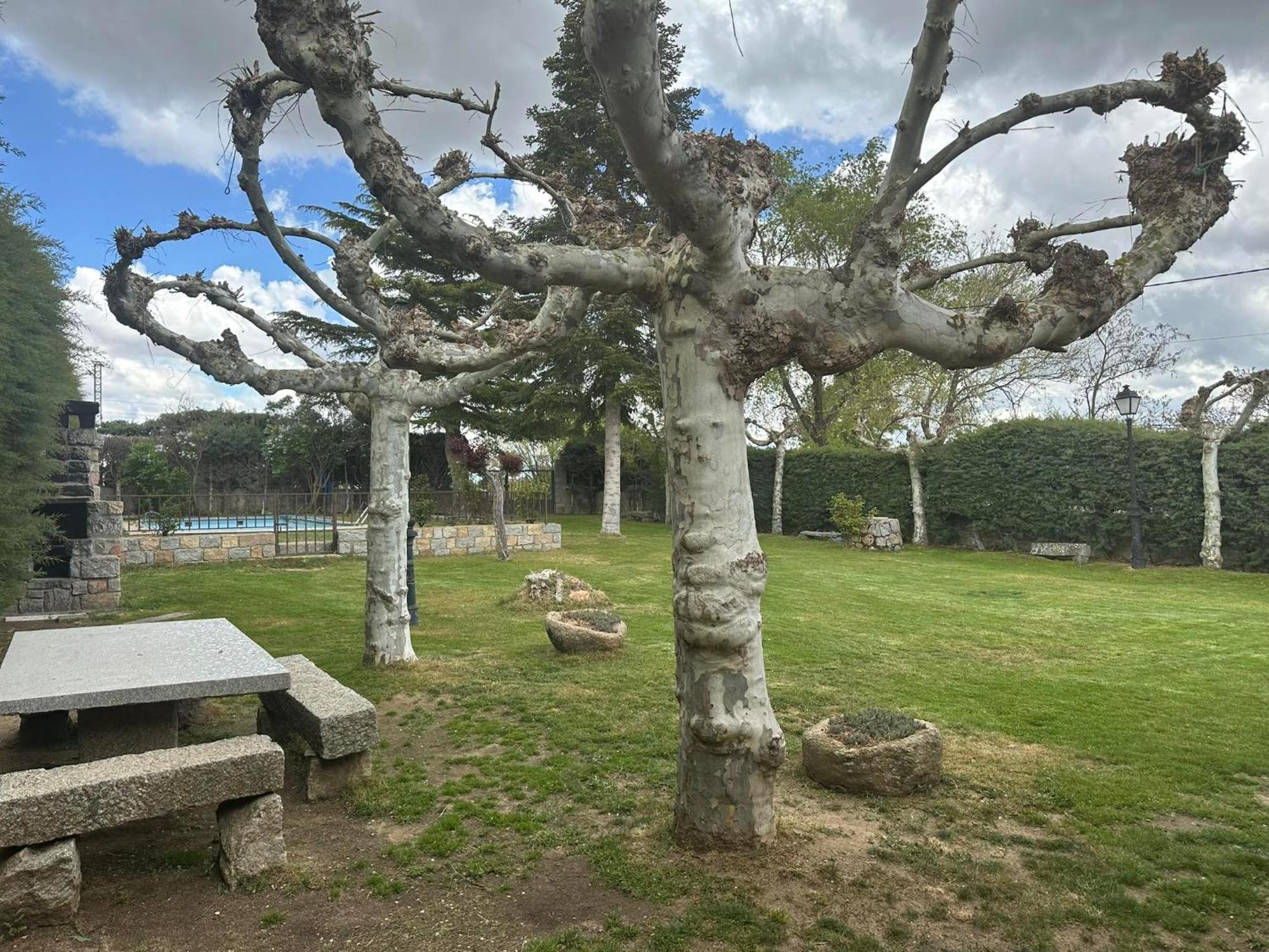 Casa Rural El Cordel La Serrada エクステリア 写真